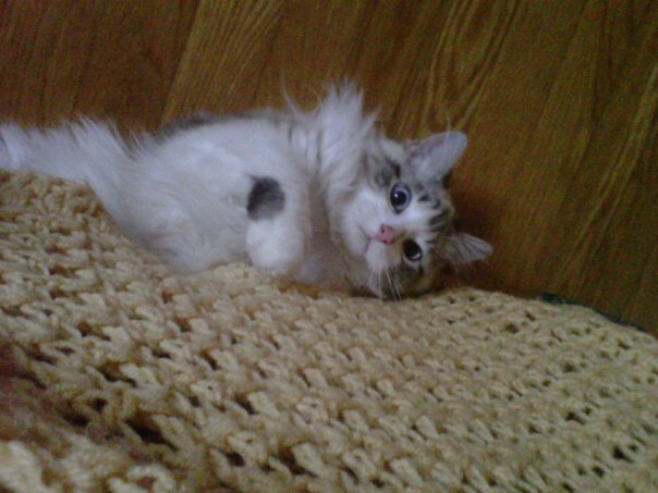 simba enjoying his solice