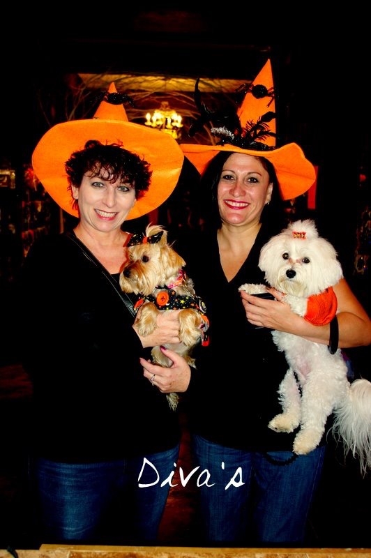 lisa gina and pixie are all ready for the costume party
