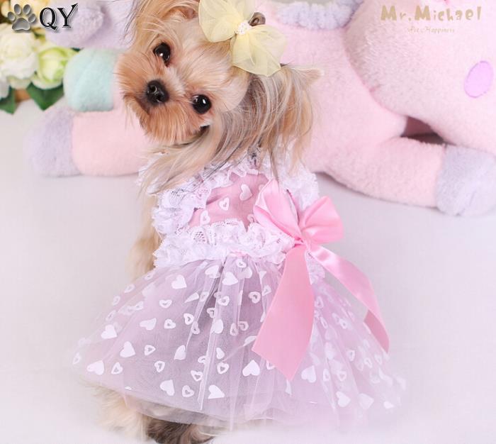 puppy in a princess tutu