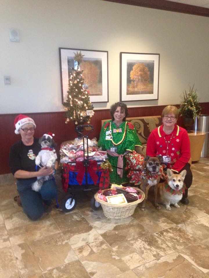 therapy dogs at christmas celebration